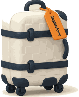 Large checked suitcase