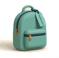 Small backpack
